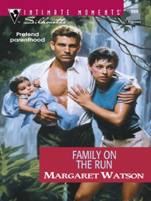 cover image of Family on the Run